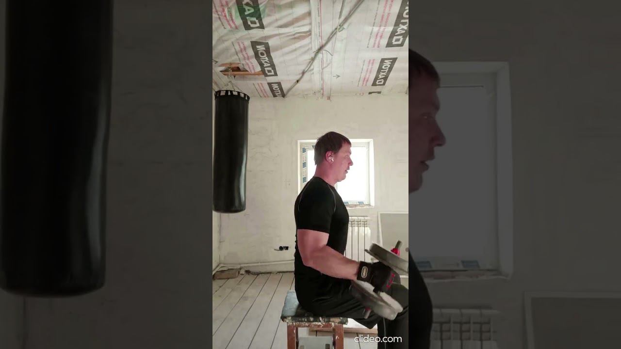 Домашняя тренировка.Упражнение на бицепс "молот"сидя#shorts  #workout #fitness #gym #бицепс #спорт
