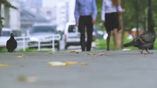 Sandro Последний летний вечер смотреть онлайн