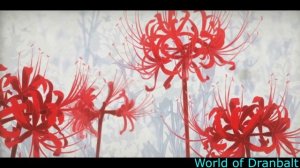 AMV Токийский Гуль / Tokyo Ghoul