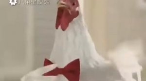 Петушиная песня