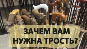 Какие трости бывают и для чего мне трость