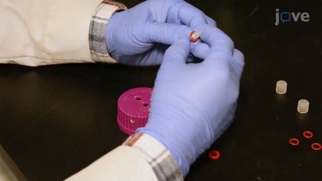 Green Microalgae Cultivation in Column Photobioreactors | Protocol Preview смотреть онлайн