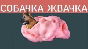 мышка сосиска