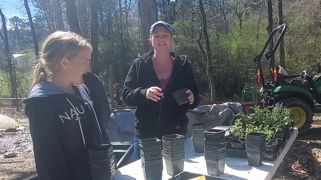 How to Plant Plugs and Seeds смотреть онлайн