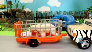 Zoo Wild Animals Toys Fun For Kids - Learn Animal Names