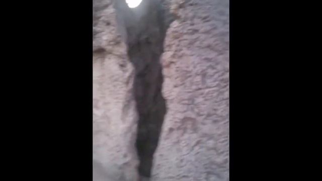 Baobab Tree House смотреть онлайн