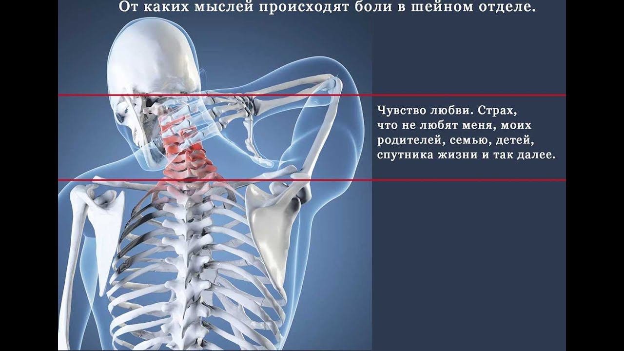 Уроки № 4 Шейные позвонки