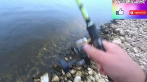 Жигулевская рыбалка в сентябре