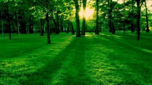 Что может рассказать твой любимый цвет?