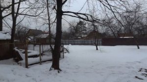 10 соток в СНТ "Балтиец-38"