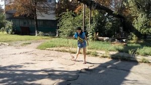 Щенок чихуахуа, первая прогулка