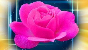 Футаж. Цветочный фон 106