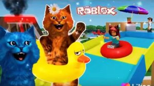 Котёнок лайк в лайках песня Королева танцпола😺