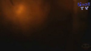 Иное среди нас - НЕИЗВЕСТНЫЕ СУЩЕСТВА 10 Выпуск