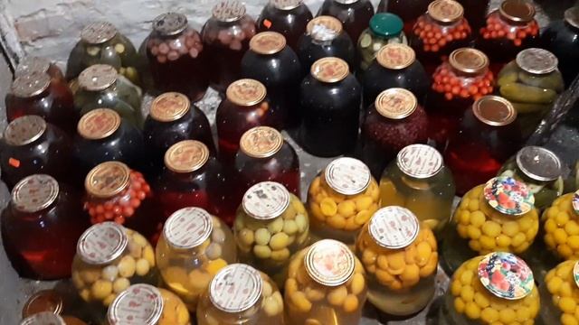 СОБИРАЕМ КАРТОШКУ//ЧТО В МОЕМ ПОДВАЛЕ смотреть онлайн