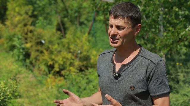 УВЕЛИЧИВАЕМ УРОЖАЙ ПЛОДОВЫХ ДЕРЕВЬЕВ смотреть онлайн