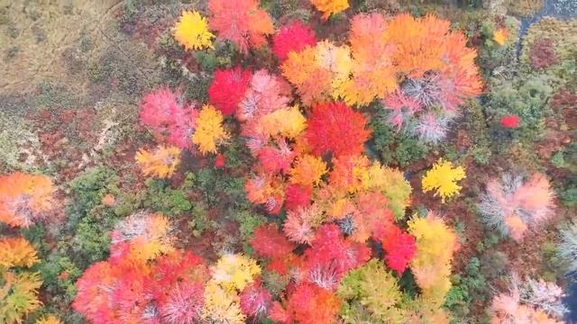 Музыка    для   стрима   без   авторских    прав смотреть онлайн