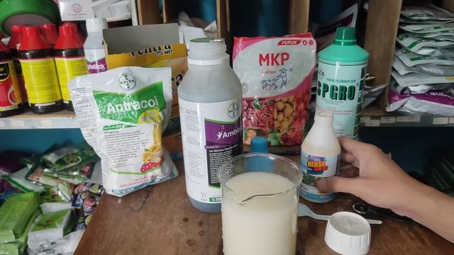Bisakah Ambition di Campur Pestisida & Pupuk Daun ??? ||| Uji Coba Pencampuran Ambition смотреть онлайн