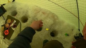 Рыбалка на мормышку и жерлицы зимой, с палаткой. День 2 (Коприно)