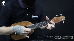 Melokia Ukulele Acacia Pineapple (old model)