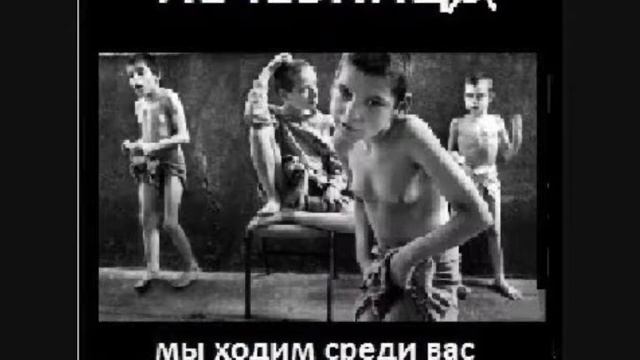 Что такое проект le4ebnitsa и кто есть Свух? Собачечка поясняет