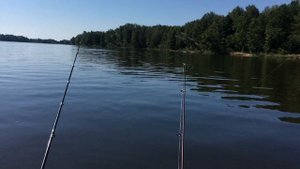 Река днепр ловля леща