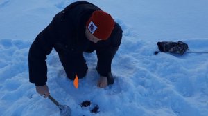 УСТАЛИ БЕГАТЬ.ЩУКА НЕ ДАЁТ ОТДОХНУТЬ.РЫБАЛКА С НОЧЁВКОЙ В ЗАЛИВАХ РЕКИ КАМА.