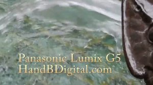 Panasonic Lumix G5 Video