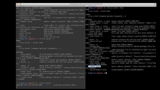 Using Trivy In Client Server Mode