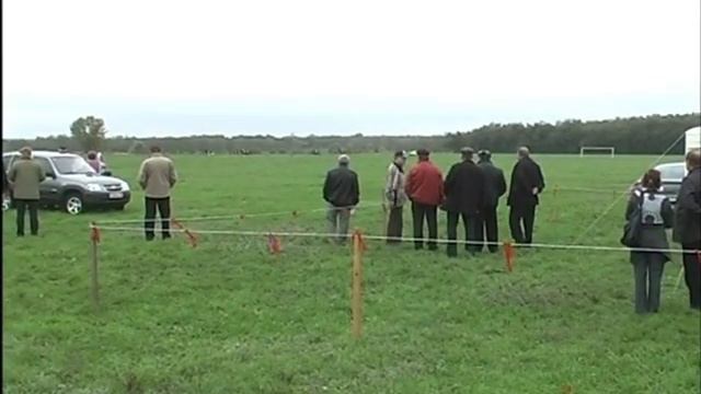 скачка 4 скачки в ростовской области, региональные скачки, орловский район, чистокровные лошади 201