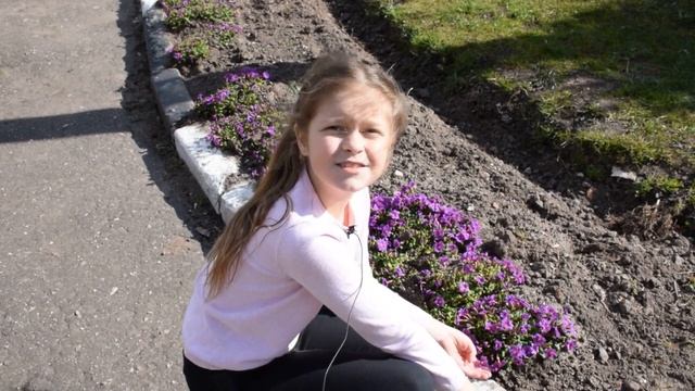 Виртуальная экскурсия на природу. Весна в жизни растений