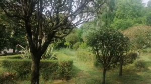 Пляж Дельфин, территория у санаториев  Коралл и Дельфин в Адлере