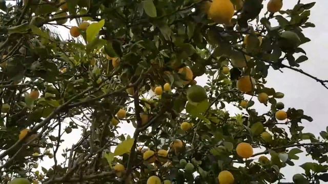 Нельзя в моём возрасте делать ЭТО ! И смех и грех .Мгновенная карма смотреть онлайн