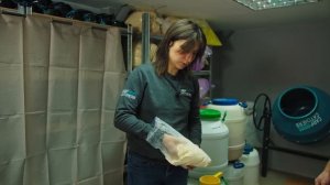 Как мы делаем бойлы для рыбалки на карпа. Производство Carp Catchers 2019