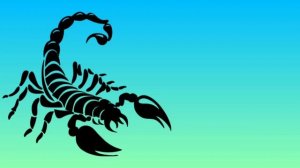 Евгений Косенков. На земле жил закон. Христианские песни..mp4