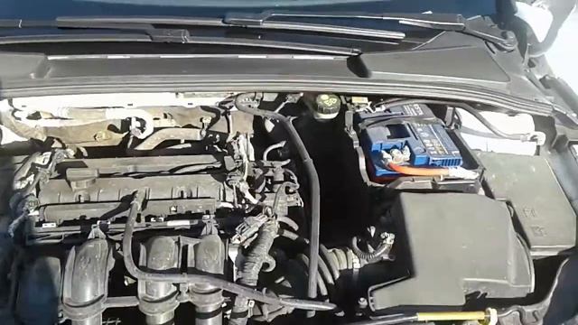 Обзор форд фокус 3 Калинковичи смотреть онлайн