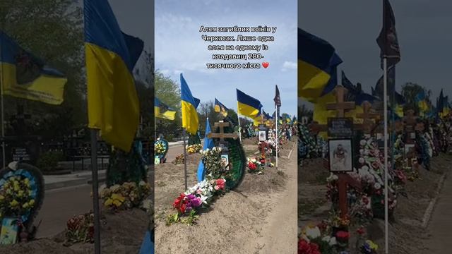 Аллея уничтоженных в зоне проведения СВО ВСУшников только на одном из нескольких кладбищ в Черкассах