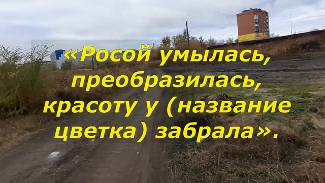Колдовской дезодорант  Народные заговоры  Серебряное пламя