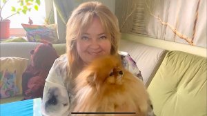 Соскучились? А мы здесь ☺️ Вернулись домой и что тут увидели.