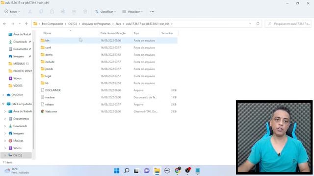Java JDK Zulu (Como Instalar a Versão LTS 17 no Windows?) смотреть онлайн