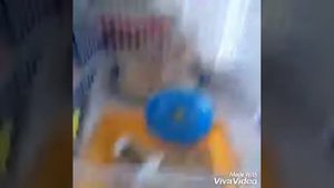 Как подружить двух хомяков