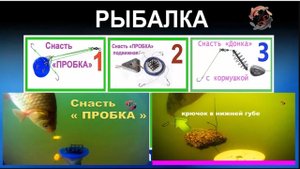 Рыбалка 🐟 на донные снасти_ Донка, Фидер, Пробка, Макушатник .«УБИЙЦА КАРАСЯ». ПОДВОДНЫЕ СЪЁМКИ
