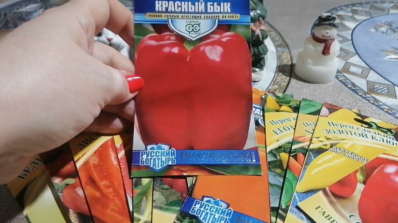 Сладкий перец Красный бык от агрофирмы Гавриш. Рассказываю почему именно этот перец я выбрала смотреть онлайн