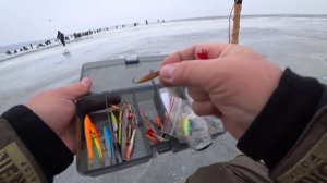 СВЕЖАК!!! ЛОВЛЯ СУДАКА НА БАЛАНСИР ЗИМОЙ