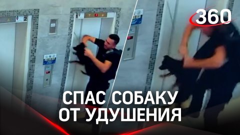 Неумолимый лифт: полицейский спас собаку в последний момент