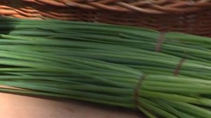 Площадь дружбы