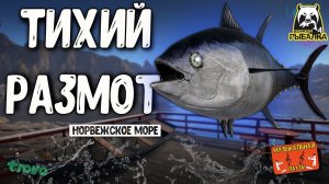 РР4/ рыбалка для души, ловим как универсал, общаемся 25.09.23