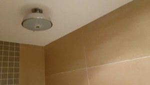 ЭМИРАТЫ ФУДЖЕЙРА ОТЕЛЬ РОТАНА 5* СЕНТЯБРЬ 2019г.