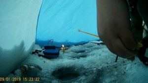 Поклевки плотвы зимой! Поймал своего первого чебака! Зимняя рыбалка на Шершнях Челябинская область