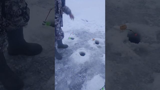 Ловля корюшки онлайн :) 😀 смотреть онлайн